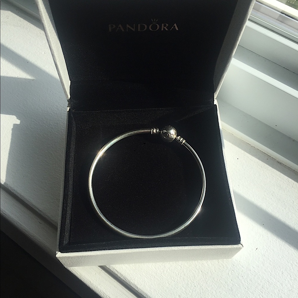 Sterling Silver Pandora Bracelet - Picture 9 of 12